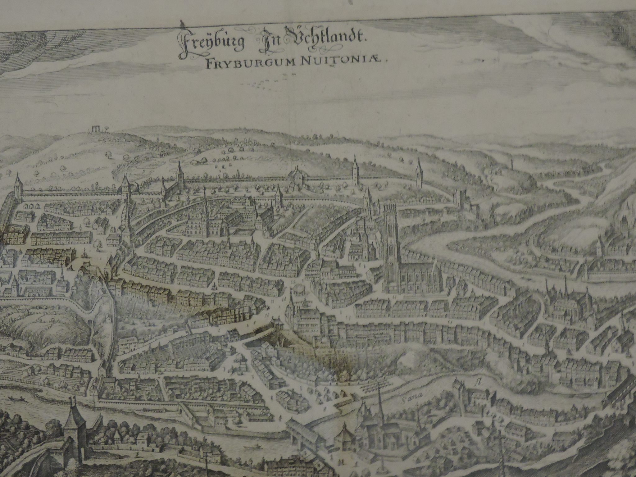  FriburgNuitonia
