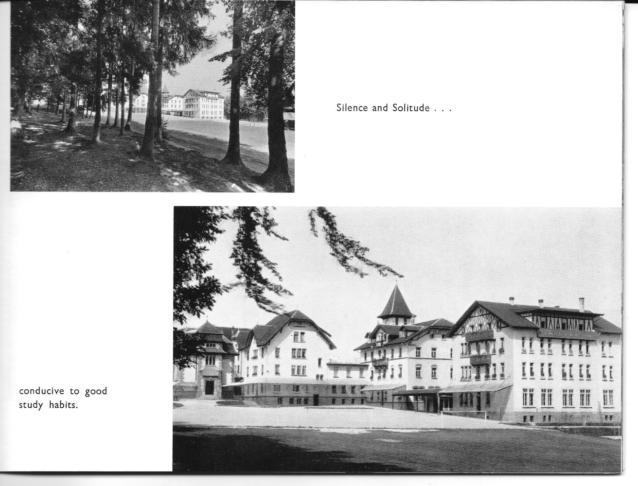 PHOTOs of Villa Saint Jean International School in Spring