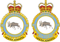 RCAF Moose Squadron Emblem