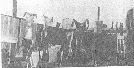 Picture Stalag VIII B Laundry Hanging From Line