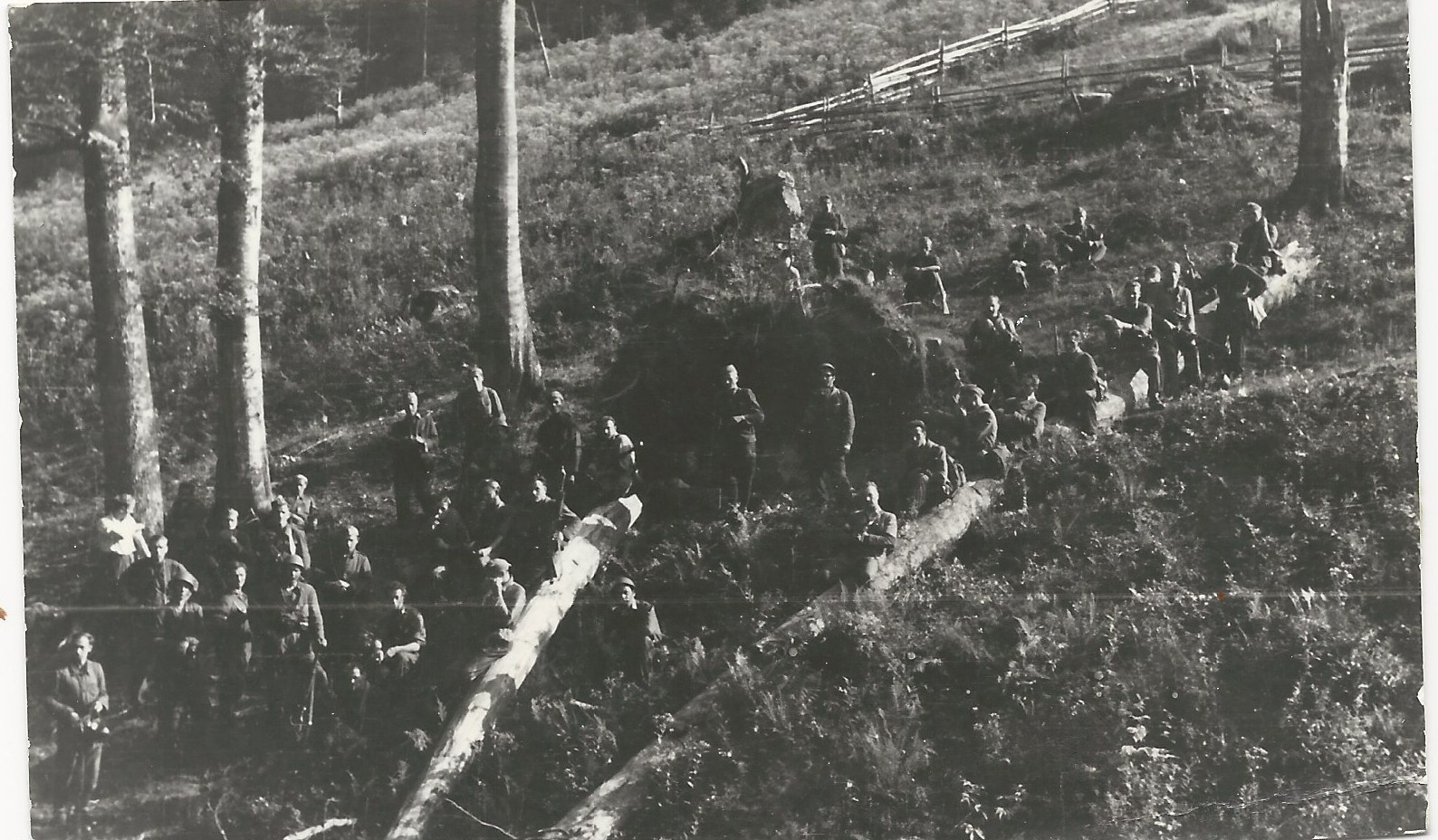 4th Battalion 1PSP AK soldiers in  the Forest of Biała Woda   Prior To Action on Zollgrenzschutz post  