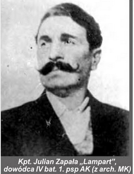 Photo Julian Zapała  ps Lampart