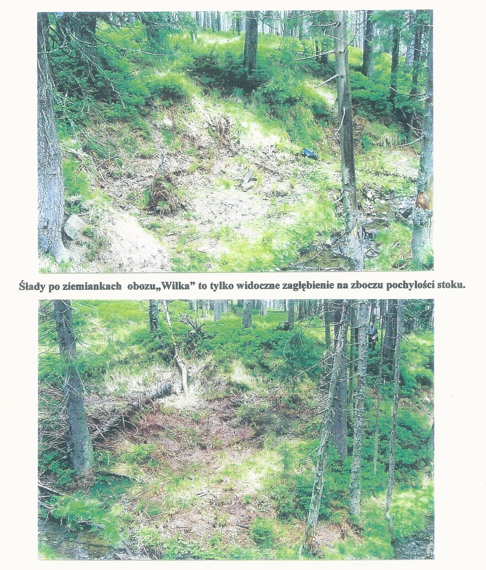 Photo of WILK Base Camp Location 