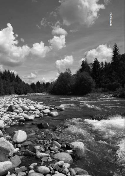 Stream Vista in southern Poland
