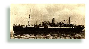 Image Moreton Bay