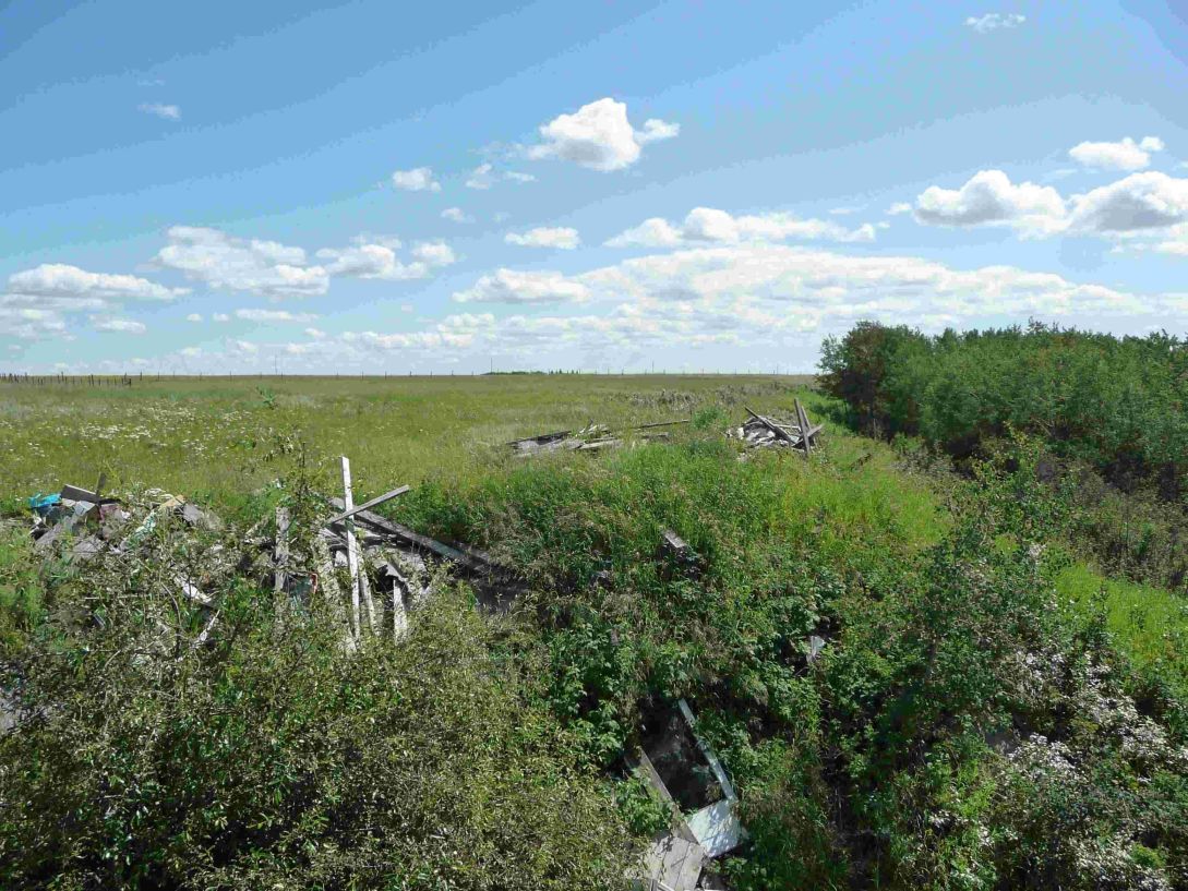 Vista Looking South Along Ravine Next to Hubert Brooks Homestead